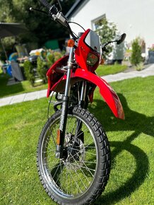 Gilera RCR 50ccm - 7