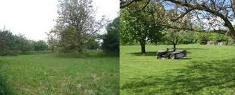 Nabízím lidem pomoc na zahradě a kolem domu - 7