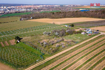 Prodej zahrady, 2462 m², Dobšice u Znojma - 7