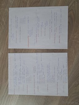 Vypracované maturitní otázky ze ZSV - pro Gymnázia - 7