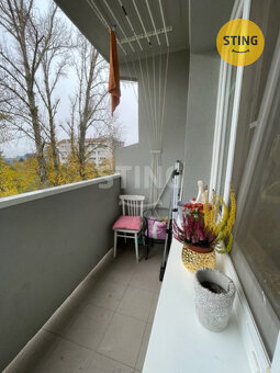 Nabízíme vám k pronájmu byt 1+1 v Hodoníně o ploše 4, 133887 - 7