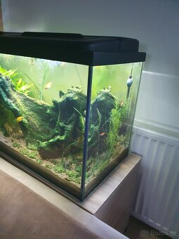 Kompletní akvarium 200 l - 7