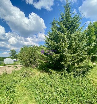 Prodej zahrady 2033 m² Otvovice - 7