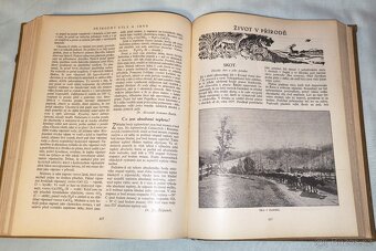 Encyklopedie československé mládeže, II. díl. - 7