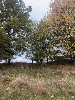 Pronájem pozemku v Semici u písku - 7