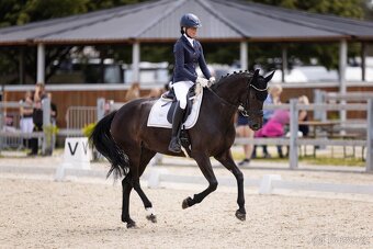 Poradenství v nákupu a prodeji na míru - 7