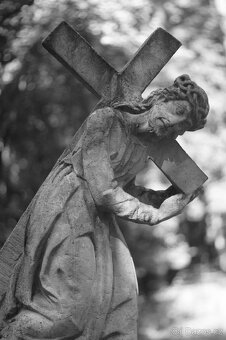 Carl Zeiss Jena Visionar 60/1,6 a 71/1,6 FF 2 ks - 7