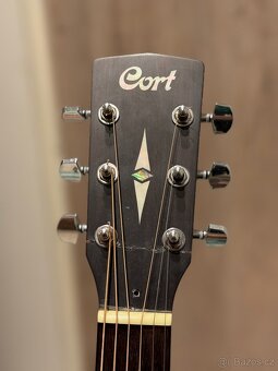 Cort earth 70 - 7