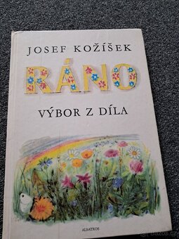 Knihy pro děti/mládež - 7