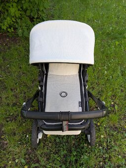 Buffalo Bugaboo - 7