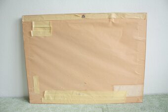 R.Procházka - Slunečnicové pole 73 - 7