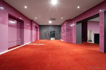 Pronájem komerčních prostor 230m2 Plzeň - 7