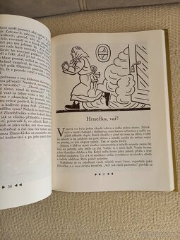 Pohádky K.J.Erbena ,B.Němcové - 7
