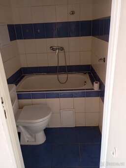 Pronájem bytu 2+1 Hrušovany u Brna. - 7