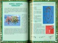 Sešit ručních prací Nejkrásnější ruční práce 80 stran - 7