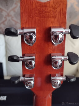akustická kytara Washburn D9 - 7