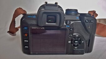 Olympus E-520 + ZUIKO 14-54 mm f/2,8-3,5 EZ-1454 - 7