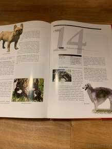 PSI - velký obrazový lexikon - 7