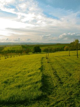 Canon Powershot G5 - 7