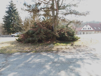 Rodinný dům prodej - 7