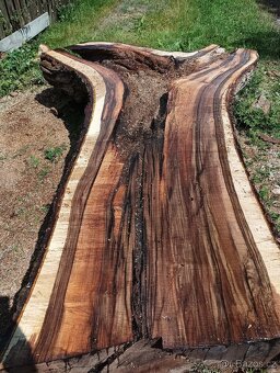 Ořechové fošny 85mm silné - 7