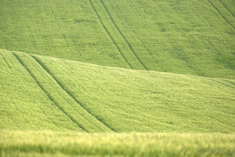 ►Fujifilm Fujinon XF 55-200mm f3.5-4.8 R LM OIS - jako nový◄ - 7