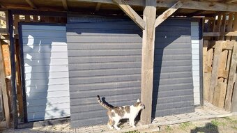 Kotec pro psa 200 x 298 výška 160 a 145 na zadní straně - 7