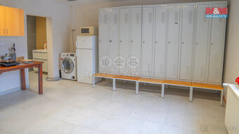 Pronájem skladu, 750 m², Těšovice - 7