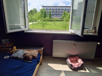 Prodej bytu 2+1 45.m2 Olomouc Nové Sady - 7