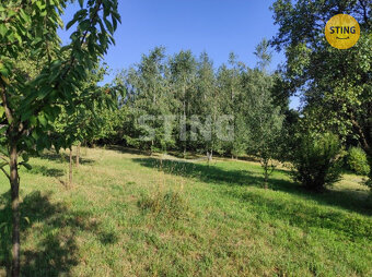 Dům k rekonstrukci s velikou zahradou, 5128m2, Radko, 131474 - 7