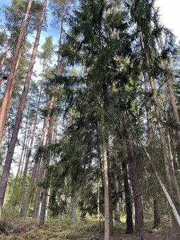 Prodám pozemky v k.ú. Drahov - 7