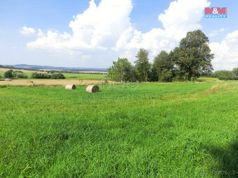 Prodej pozemku, 3885 m², Radenín - 7