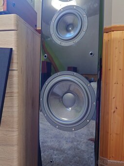 Aurum Cantus M-102HG - 7