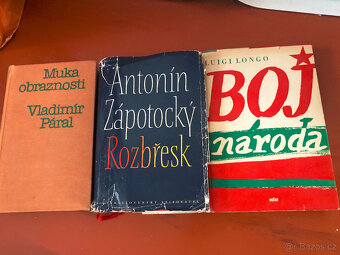 Velmi staré knihy - různé - 7