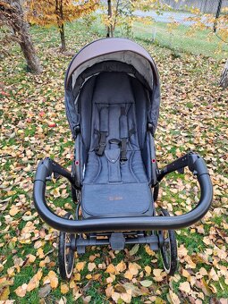 Jedo Bartatina Clasic V28 - 7