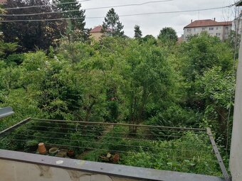 Pronájem 1+1, ulice Zborovská, Žabovřesky, 47 m2, balkon - 7