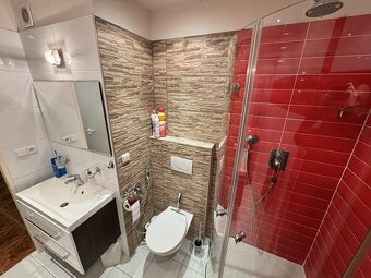 Pronájem bytu 2+1 s lodžií - Napajedla - 7