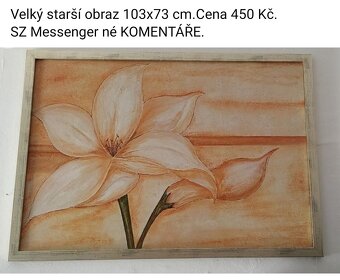 Staré obrazy .Ceny a rozměry u fotografie. - 7