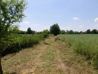 Prodej komerční nemovitosti, 52 m2, Mankovice - 7