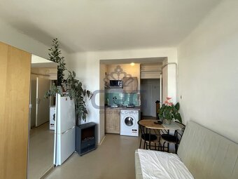 NABÍDKA PRONÁJMU BYTU 1+KK NA ULICI MLÝNSKÁ, BRNO - 7