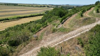 Prodej vinice Lovčičky   SLEVA 36 Kč/m2 - 7