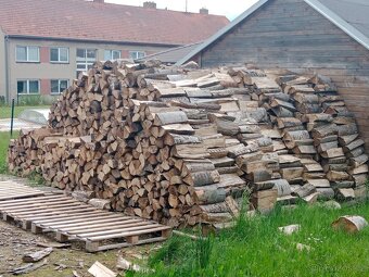 Palivové dřevo - 7