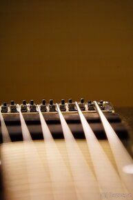 6 strunná basová kytara Harley Benton - 7