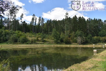 Prodej, pozemek s rybníky, Božetice - 7