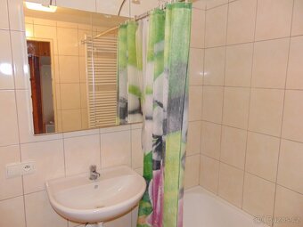 Pronájem, Byty 2+kk, 64, 43 m² - Luže - Radim - 7