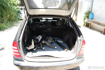 MB C220cdi na ND - 7