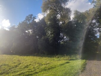 Orná půda a TTP Žďár u Blovic - 7