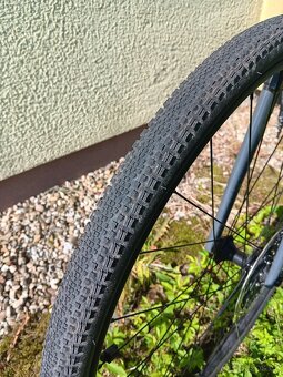 WTB Riddler 700x37 - 7