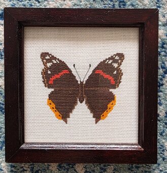 Sbírka motýlů - 7