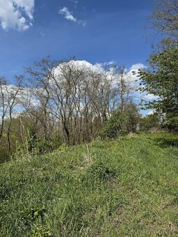 Prodáme pozemky v k.ú. Okrašovice - 7